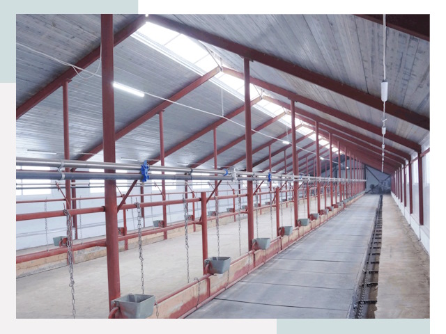 Строительство коровников в Уссурийске от 619 руб.